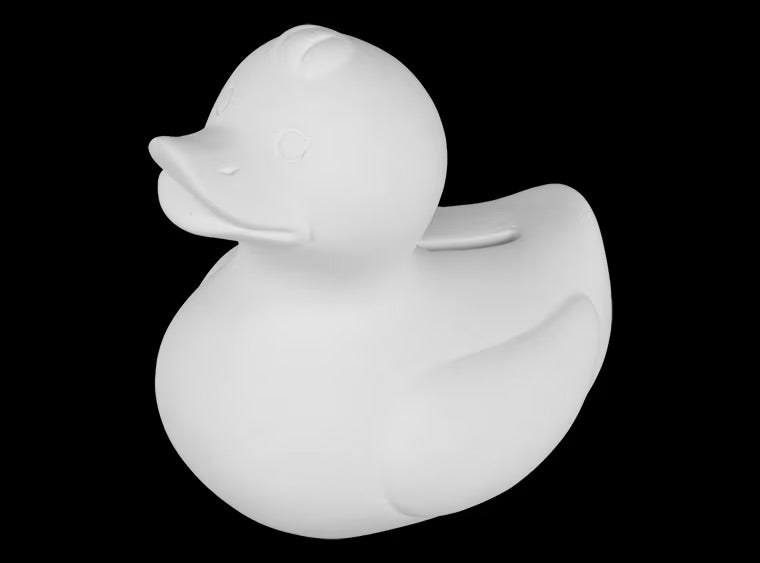 3408 Duck Bank