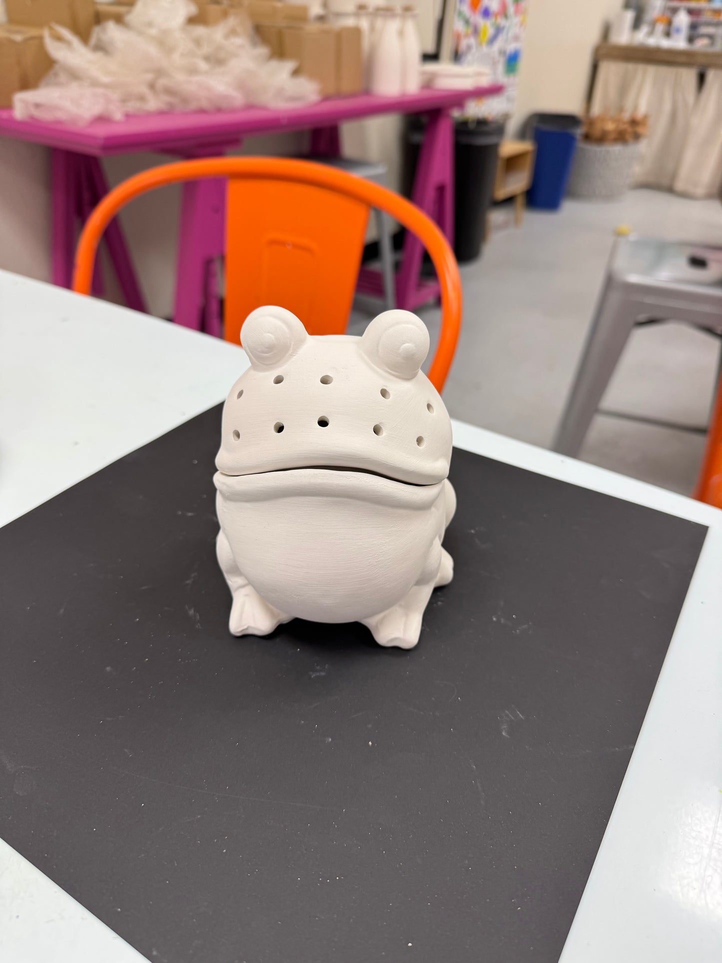 Frog Container(fruit fly catcher)