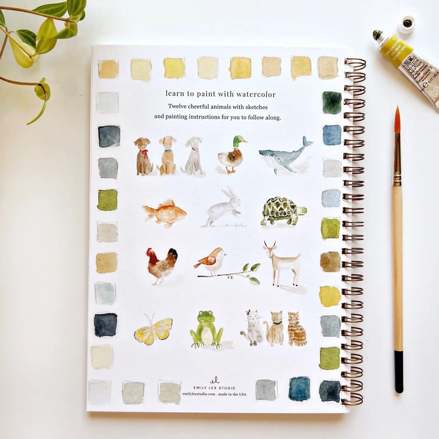 Emily Lex - Watercolor Workbook - Animals