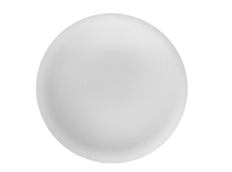 Coupe Dinner Plate #110