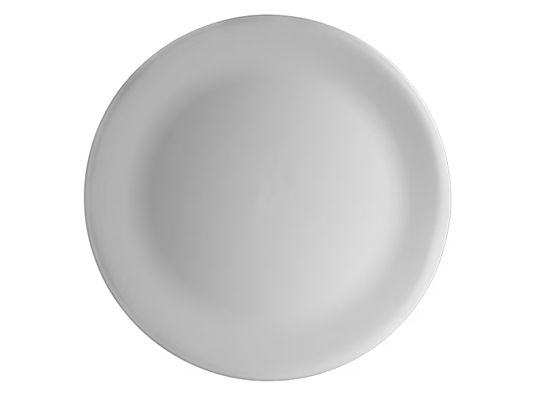 120 Charger Plate