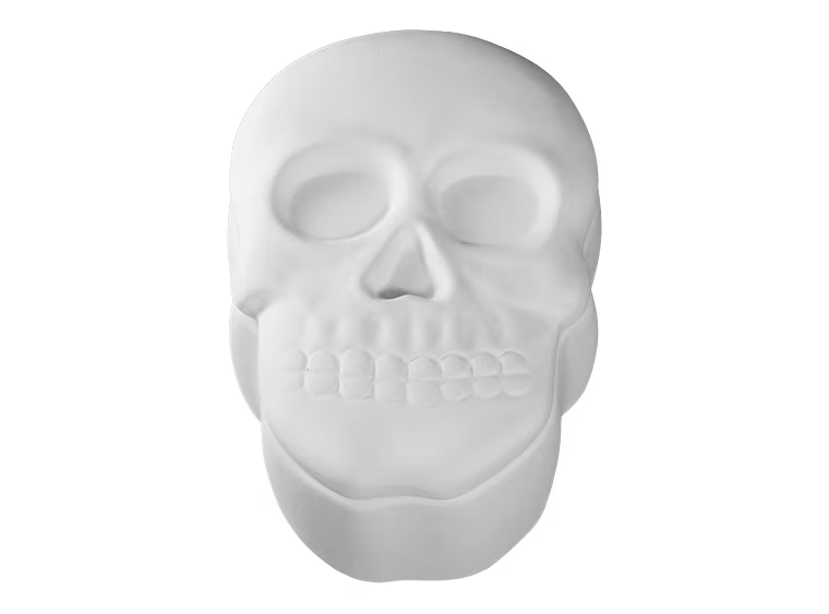 Skull Box #1327