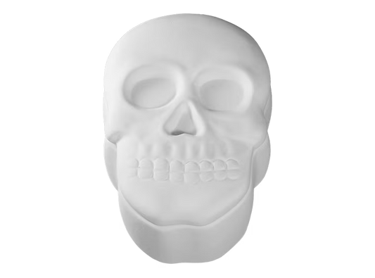 Skull Box #1327