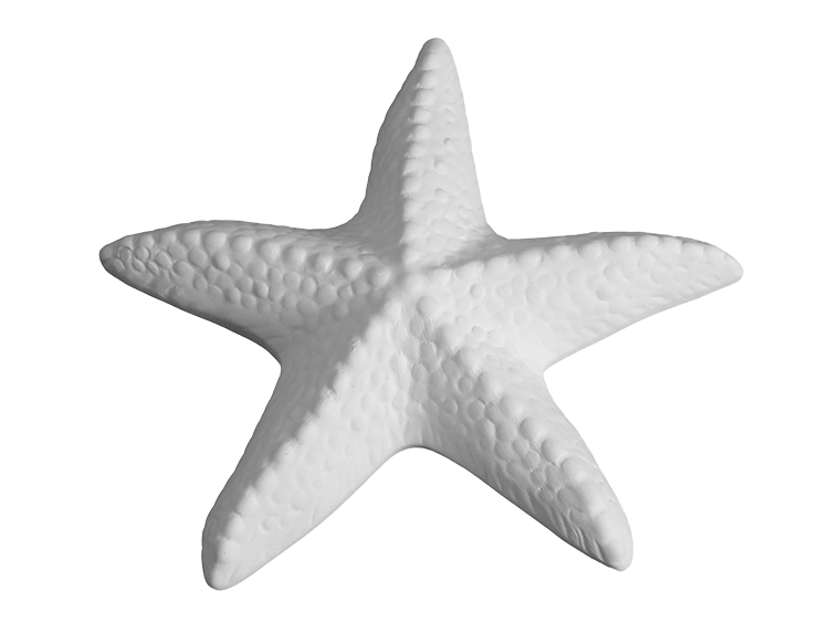 Spiny Starfish #1681
