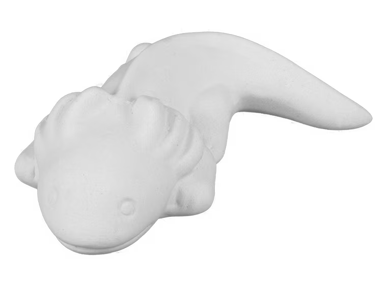 2247 Axolotl tot