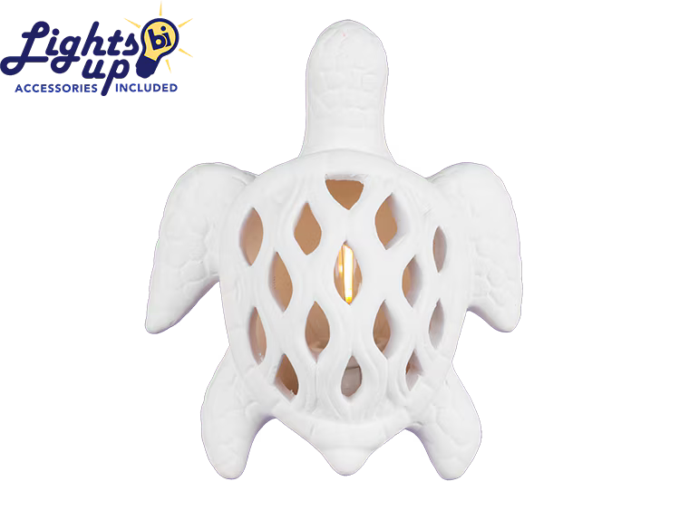 2439 Turtle Night Light