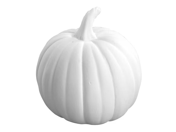 Pumpkin #4308