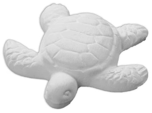 5240 sea turtle