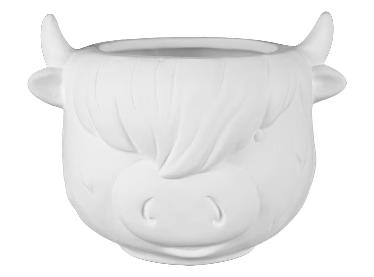 Highland Cow Container #616