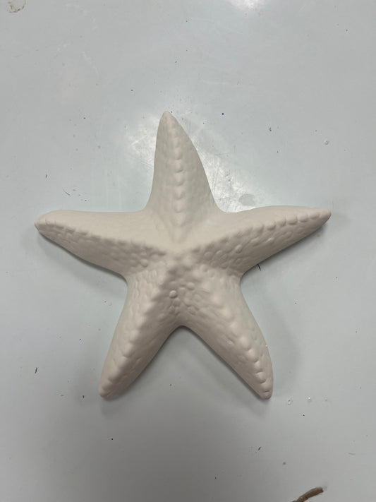 Star Fish