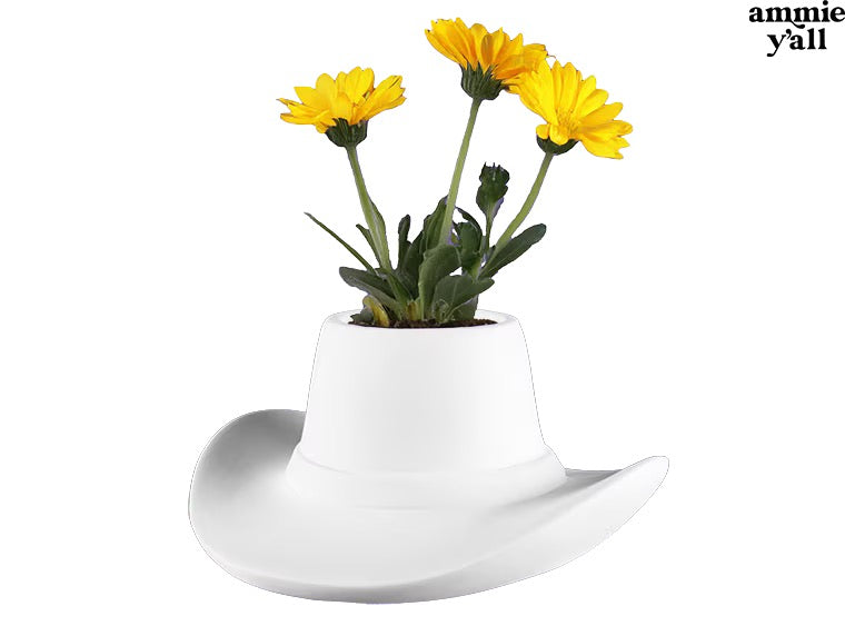 Cowboy Hat Container AY3970
