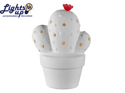 1698 Cactus Night Light