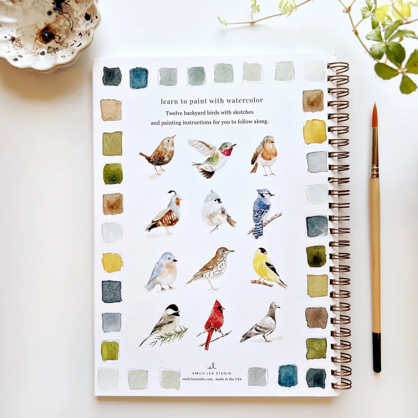Emily Lex Watercolor Workbook - Birds