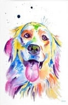 Kids Pop Art Paint Your Pet