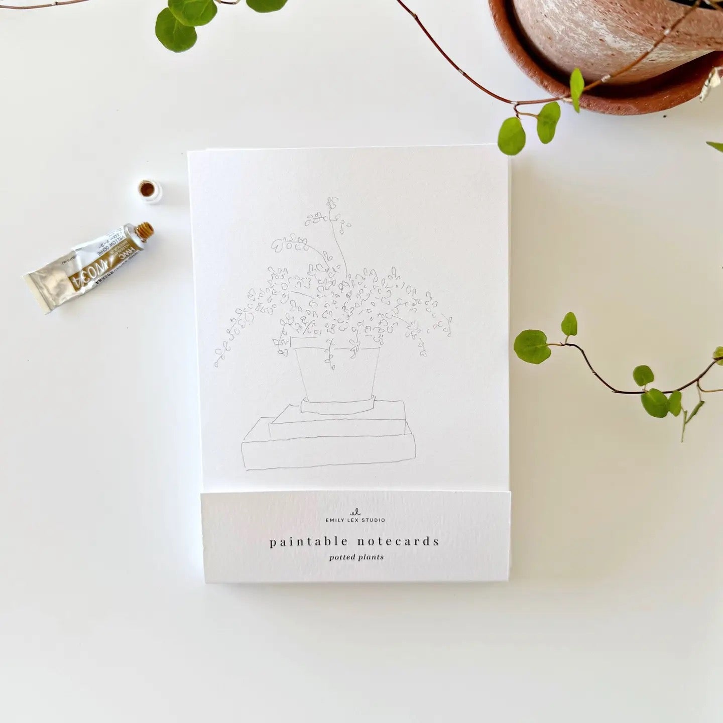 Emily Lex Paintable Notecards "Potted Plants"