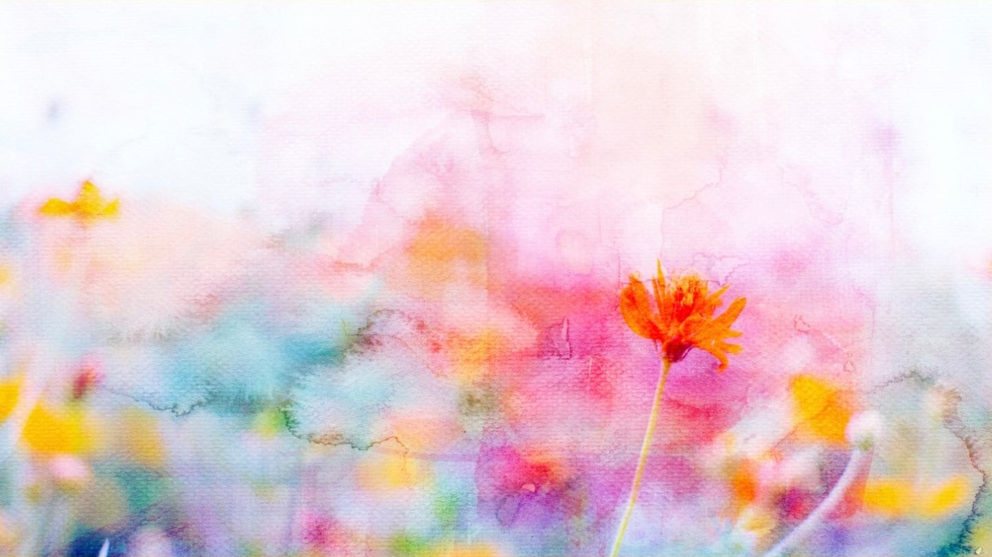 Watercolor Workshop Studio Pass